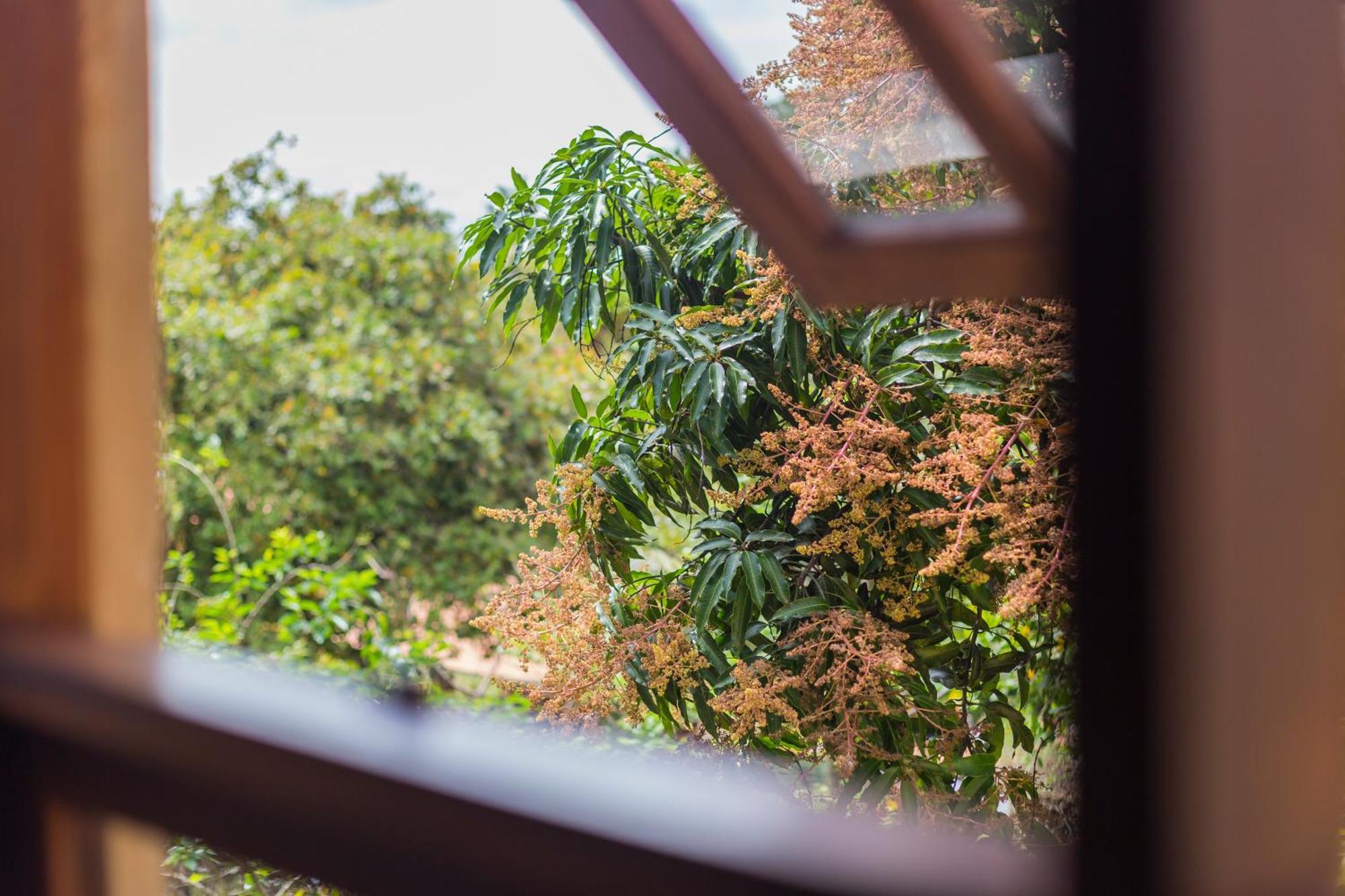 Terra Dos Diamantes Hotel レンソイス エクステリア 写真